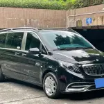Mercedes-Benz Vito 2021 из Китая