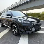 BYD PLUS New Energy 2022 из Китая