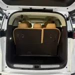 Denza Denza D9 2024 из Китая