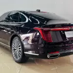 Hongqi Hongqi H9 2022 из Китая