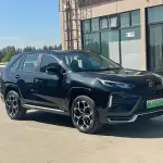 Toyota Wildlander New Energy 2023 из Китая