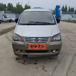 Fengxing Lingzhi 2017 из Китая
