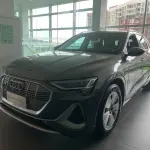 Audi e-tron 2022 из Китая
