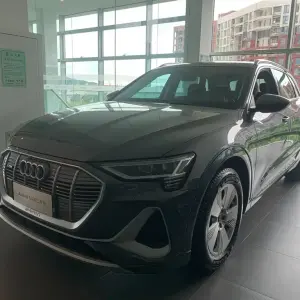 Audi e-tron 2022 из Китая