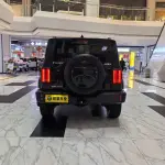 Tank Tank 300 2022 из Китая