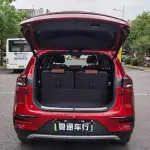 BYD Tang New Energy 2021 из Китая