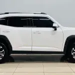 Haval 哈弗大狗 PLUS 2023 из Китая