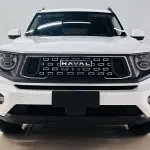 Haval 哈弗大狗 PLUS 2023 из Китая