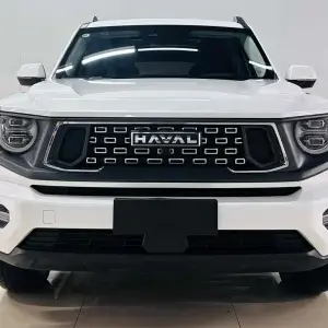 Haval 哈弗大狗 PLUS 2023 из Китая