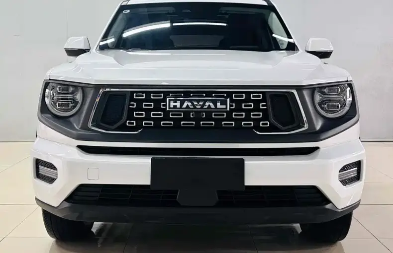 Haval 哈弗大狗 PLUS 2023 из Китая
