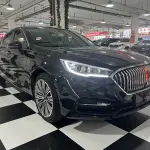 Hongqi Hongqi H5 2022 из Китая