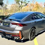GAC Motor Shadow Leopard 2023 из Китая