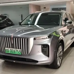Hongqi Hongqi E-HS9 2023 лот 57045109 из Китая