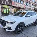 Haval H6 2025 150 л.с. из Китая