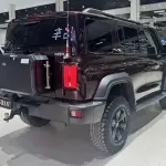 Tank Tank 300 2023 из Китая