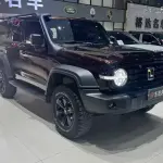 Tank Tank 300 2023 из Китая