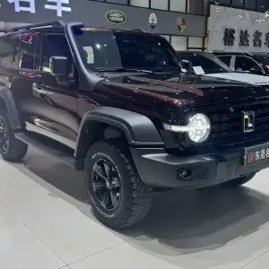 Tank Tank 300 2023 из Китая