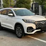 Chery Tiggo 8 2022 из Китая