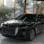 Hongqi Hongqi H9 2021 из Китая