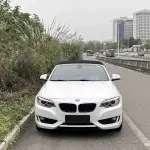 BMW 2 Series (Import) 2016 136 л.с. из Китая