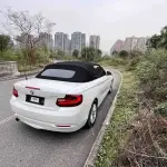 BMW 2 Series (Import) 2016 136 л.с. из Китая