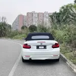 BMW 2 Series (Import) 2016 136 л.с. из Китая