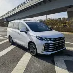 大通 G50 2023 из Китая