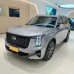 GAC Motor Trumpchi GS8 2023 252 л.с. — лот 56557564 из Китая