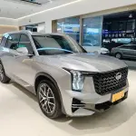 GAC Motor Trumpchi GS8 2023 252 л.с. — лот 56557564 из Китая
