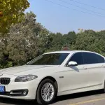 BMW 5 Series 2016 218 л.с. — лот 56790355 из Китая