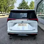 Buick GL8 Hybrid 2024 из Китая