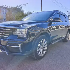 GAC Motor Trumpchi GS8 2020 из Китая