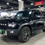 Shanhai 捷途旅行者C-DM 2024 из Китая