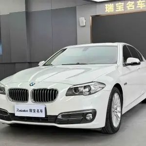 BMW 5 Series 2016 218 л.с. — лот 56886590 из Китая