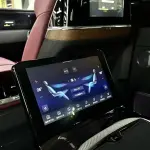 Hongqi Hongqi E-HS9 2023 из Китая