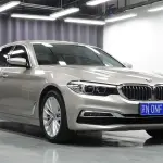 BMW 5 Series 2019 из Китая