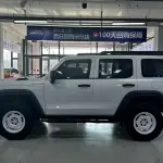 Tank Tank 300 2024 из Китая