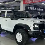 Tank Tank 300 2024 из Китая
