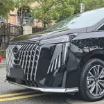 GAC Motor Trumpchi M8 2025 из Китая