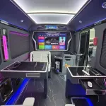 Hongqi 红旗金葵花国悦 из Китая