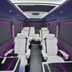 Hongqi 红旗金葵花国悦 из Китая