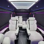 Hongqi 红旗金葵花国悦 из Китая