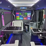 Hongqi 红旗金葵花国悦 из Китая