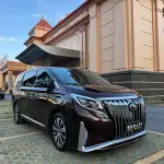 GAC Motor Trumpchi M8 2019 из Китая