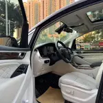 GAC Motor Trumpchi M8 2019 из Китая