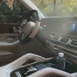 Mercedes-Benz GLS 2023 367 л.с. — лот 56974171 из Китая