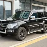 Mitsubishi Pajero (Import) 2017 из Китая