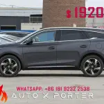 BYD Tang New Energy 2025 из Китая