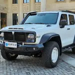 Tank Tank 300 2023 из Китая