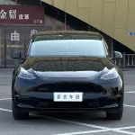 Tesla Model Y 2022 лот 56753551 из Китая